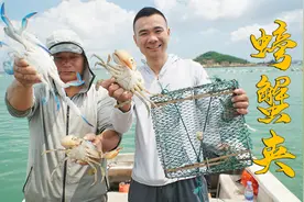 新型捕蟹夹杀伤力太强了，抓蟹效率是蟹笼的十倍，用这个太赚钱了视频封面