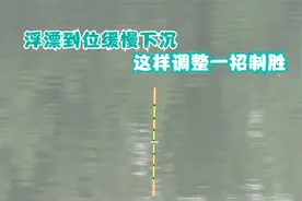 浮漂到位又缓缓下沉，问题究竟出在哪儿？这几点改变招招制胜！