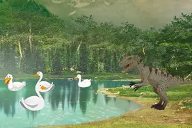 恐龙学霸学知识 第35集 异特龙学习五以内的加减法