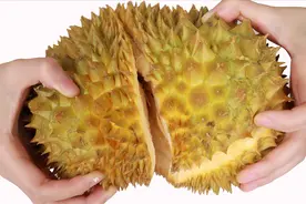 不管再难开的榴莲，找准一个位置，不伤果肉不扎手，轻松开榴莲