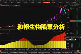和邦生物股票分析视频封面
