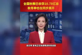 全国秋粮已收获10.78亿亩 秋冬种也在同步展开视频封面