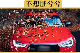 露天停车，真的有必要罩车衣吗？哪些情况不罩车衣反倒更好？视频封面