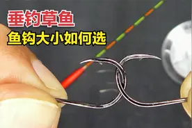 垂钓草鱼钩子小了扛不住，大了影响吃口！鱼钩大小该如何选择视频封面