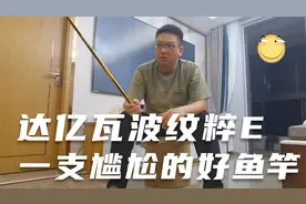 真正日本制造的钓鱼竿达亿瓦波纹粹E，一支尴尬的综合竿，非评测视频封面