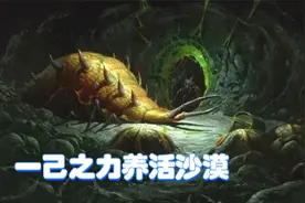 暗黑2第二幕暗金怪的故事，沙虫女皇居然养活了整个沙漠？视频封面