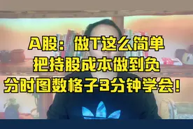 A股：做T这么简单，把持股成本做到负，分时图数格子3分钟学会！视频封面