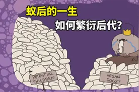 你知道蚂蚁的一生吗？工蚁成为万年“打工仔”，只是为了养活蚁后视频封面
