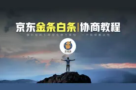 花生爸爸：一个视频搞懂逾期协商——京东金条白条协商教程