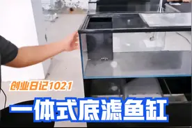 准备做一款一体式底滤鱼缸，有鱼友喜欢的吗