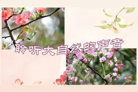 春日这般晴好，弱柳拂碧水，花儿绽笑脸。上联:绵蛮好鸟声娱耳视频封面