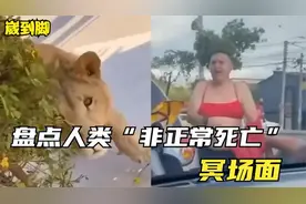 盘点人类“非正常死亡”瞬间，错把狮子当金毛，打架个暴露性格了视频封面