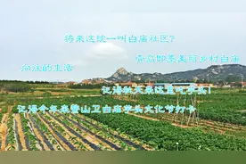 山东合村并居正稳妥推进，探访青岛即墨白庙，这有我们向往的生活