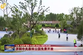 华丽变身！市民再添游玩好去处，济钢中央森林公园免费对外开放视频封面