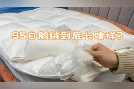 给大家看看95白鹅绒长什么样，躲被子里蓬蓬的，盖起来且轻且保暖视频封面