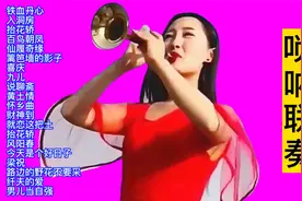 国乐精品：唢呐经典曲目20首大联奏