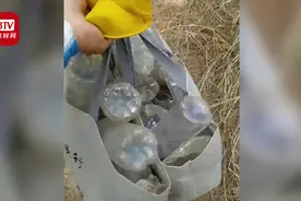 男子一放假就进山捡垃圾：5年半捡了4万多个废瓶子！视频封面