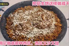 楼顶种菜：花生饼这样做成干肥，用来做底肥种西瓜，西瓜又沙又甜视频封面
