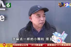 新车漆面有很多小颗粒 客户内心无法接受 汽车销售公司如何回应？