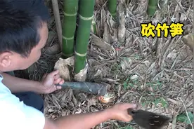 用现砍竹笋做一道菜，笋子全身是毛不好打整，这样弄吃起才新鲜