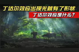 "达利园"效应是什么？当丁达尔效应出现，时光就有了形状！