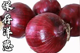 入秋洋葱大量上市，别放冰箱，教你3招保存，放半年不发芽不变质视频封面