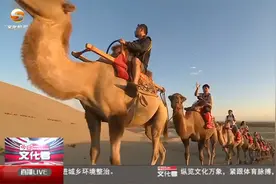 今年1-8月敦煌市旅游接待425万人次视频封面