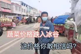 河南蔬菜价格暴跌，一起去产地看看是什么原因导致的？听完别吃惊视频封面