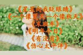 《星星向我眨眼睛》 《一个像夏天一个像秋天》 《末班车》视频封面