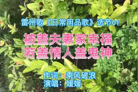 雷州歌《日常用品》01编者太有才 被盖夫妻家幸福 若盖情人盖鬼神