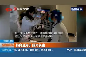 女子摸狗未洗手，眼内长两厘米线虫，要给宠物定期驱虫！