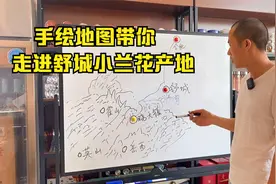 舒城小兰花你喝过嘛？小赵画了一个地图带大家走进小兰花产地