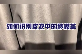 如何识别真皮皮衣中的移模革，专业人士用视频实拍告诉大家视频封面