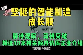 坚挺的智能制造企业龙头，静待观察等待突破！精选10家优质成长股视频封面