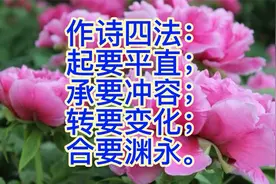 字斟句酌  诗词检测软件的学习体会  淡如竹视频封面