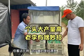 起蛙工人：这家青蛙个头大，1个池子2000斤，是我见过养得最好的视频封面
