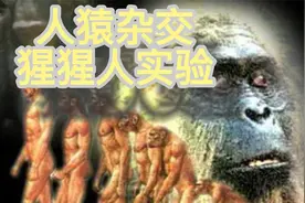人猿杂交实验|苏联科学家伊万诺夫如何进行实验? 过程很残忍?视频封面