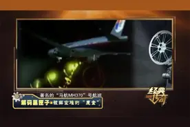 经典丨马航MH370空难原因不明 至今尚未找到黑匣子视频封面