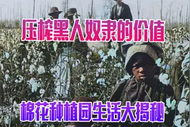 摘棉花、吃猪肉、啃西瓜和挨鞭子，黑奴的棉花种植园生活大揭秘