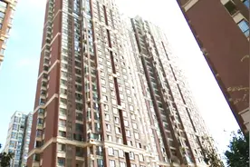 柏庄春暖花开小区品质太高端，就是有人不信，现在带您实地调研视频封面