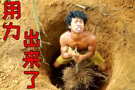 荒野美食：小六子挖出本地大紫薯，搭配香甜的蜂蜜，馋哭隔壁贝爷视频封面