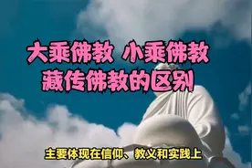 了解佛教三大分支，大乘 小乘 藏传视频封面