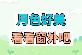 月色好美 看看窗外吧 是什么梗？