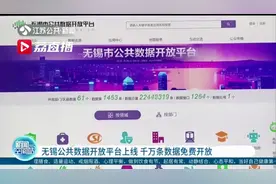 无锡公共数据开放平台上线 千万条数据免费开放视频封面