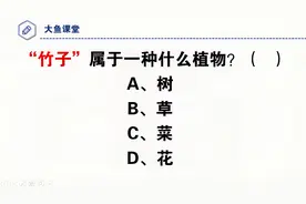 公务员考试题，“竹子”属于一种什么植物？你弄错了吗？