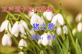 双声道卡拉OK歌曲《猪之歌》伴奏香香抖音热门网络流行经典青春