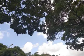 长安商业广场，地标建筑怎么样视频封面