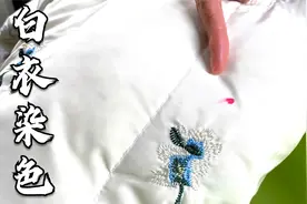 白色羽绒服，无论染上什么颜色，教你简单方法，轻松洗掉染色污渍