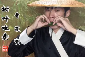 用一片树叶吹奏周杰伦歌曲《青花瓷》视频封面