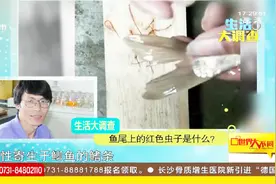 鱼尾巴有红色寄生虫还能吃吗？专家：煮熟后可以放心食用视频封面